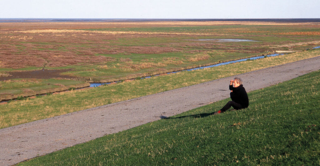 Langs de dijk boven Den Andel (1999) - foto Gert Tabak pano