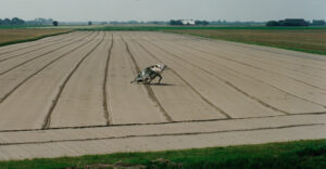 Performance Waddenzee (1996) - foto toegeschreven aan Henk Reitsema pano