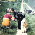 Samen met Truus en de hondjes - foto Henk Reitsema