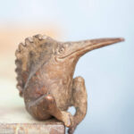 Snavelaar (0000) - foto Eric Spruit