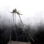 Wandelend insect (2011) - foto Henk Reitsema
